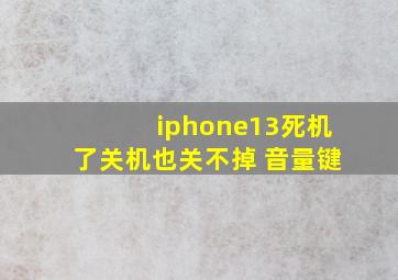 iphone13死机了关机也关不掉 音量键